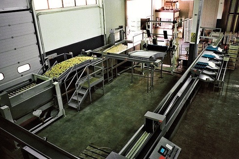 Processing-Sorting-Grading-Sizing and Packaging Line for Apples