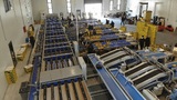 Sorting and Processing Line for Kiwi