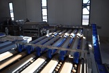 Sorting and Processing Line for Kiwi