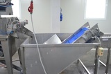 Sorting and Packaging Line for cut Potatoes