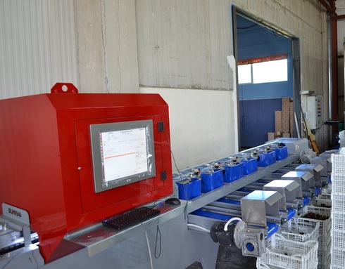 Sorting-Grading-Packaging line for Cherries