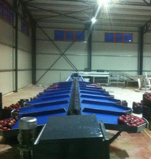 Grading - Sorting - Sizing and Processing Line for Apples