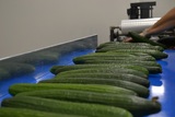 Processing - sorting - grading - sizing and packing line for cucumbers / Cucumber sorting and grading machine