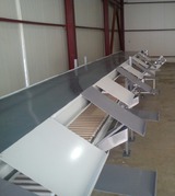 Processing - sorting and packing line for grapes / Grape sorting and packing machine