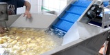 Processing & Packaging Line for fresh peeled Potatoes