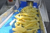 Sorting and Packaging Line for cut Potatoes