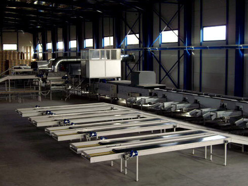 Processing-Sorting-Grading-Sizing and Packaging Line for Kiwi