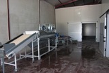 Processing - sorting - grading - sizing and packing line for apples / Apple sorting and grading machine