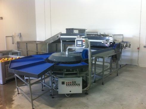 Processing-Sorting-Grading-Sizing and Packaging Line for Apples