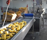 Processing - sorting - cutting and packing line for fresh peeled potatoes / Fresh peeled potato sorting - cutting - peeling and packing machine