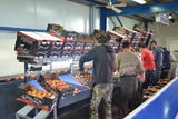 Sorting and Grading Line for Tomatoes