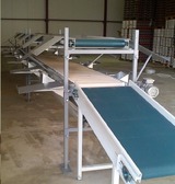 Processing - sorting and packing line for grapes / Grape sorting and packing machine