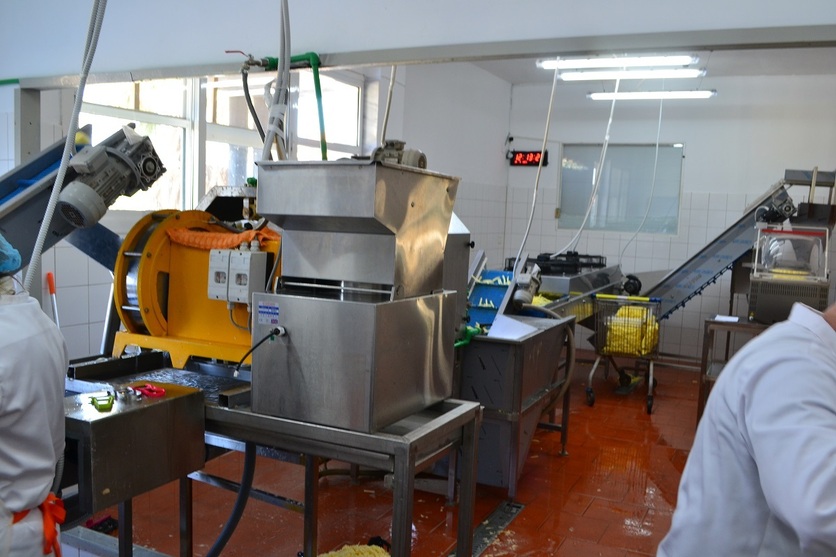 Processing & Packaging Line for fresh peeled Potatoes