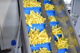 Sorting and Packaging Line for cut Potatoes