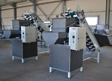 Processing - sorting and packing line for potatoes / Potato sorting and packing machine