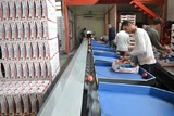 Processing - sorting - grading - sizing and packing line for pomegranates / Pomegranate sorting and grading machine