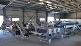 Processing - sorting and packing line for potatoes / Potato sorting and packing machine