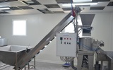 Sorting and Packaging Line for cut Potatoes