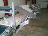 Processing - sorting and packing line for grapes / Grape sorting and packing machine