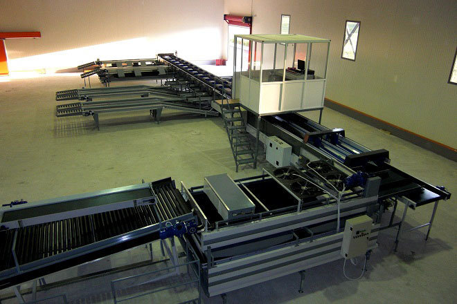 Processing - sorting - grading - sizing and packing line for pears / Pear sorting and grading machine