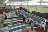 Sorting-Grading-Processing Line for Kiwi