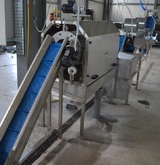 Processing & Packaging Line for fresh peeled Potatoes