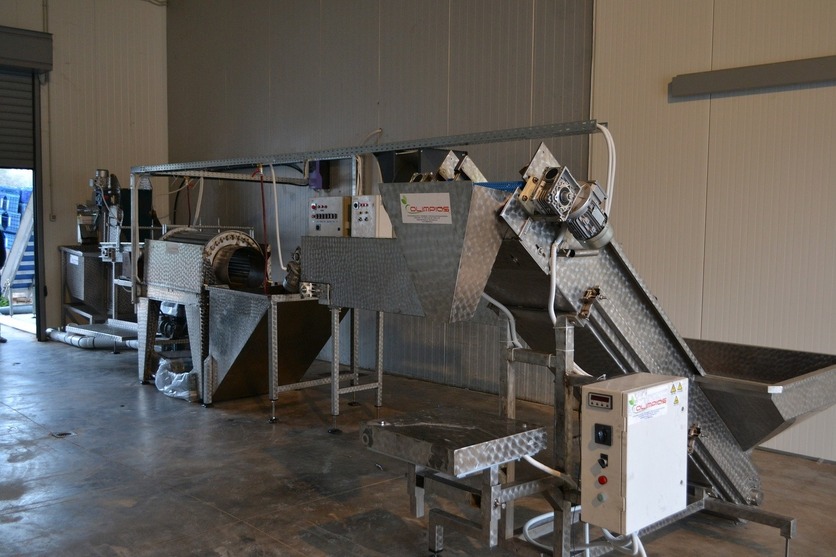 Sorting and Peeling line for Potatoes