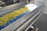 Sorting and Packaging Line for cut Potatoes