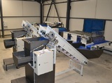 Processing - sorting and packing line for potatoes / Potato sorting and packing machine