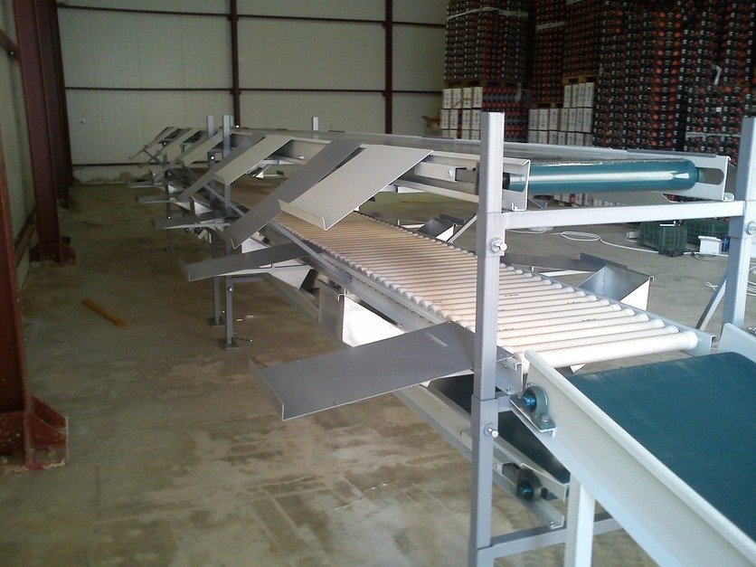 Processing - sorting and packing line for grapes / Grape sorting and packing machine