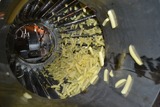 Sorting and Peeling line for Potatoes