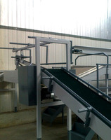 Processing-Sorting-Grading-Sizing and Packaging Line for Kiwi