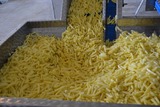 Sorting and Peeling line for Potatoes