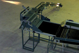 Processing - sorting - grading - sizing and packing line for pears / Pear sorting and grading machine